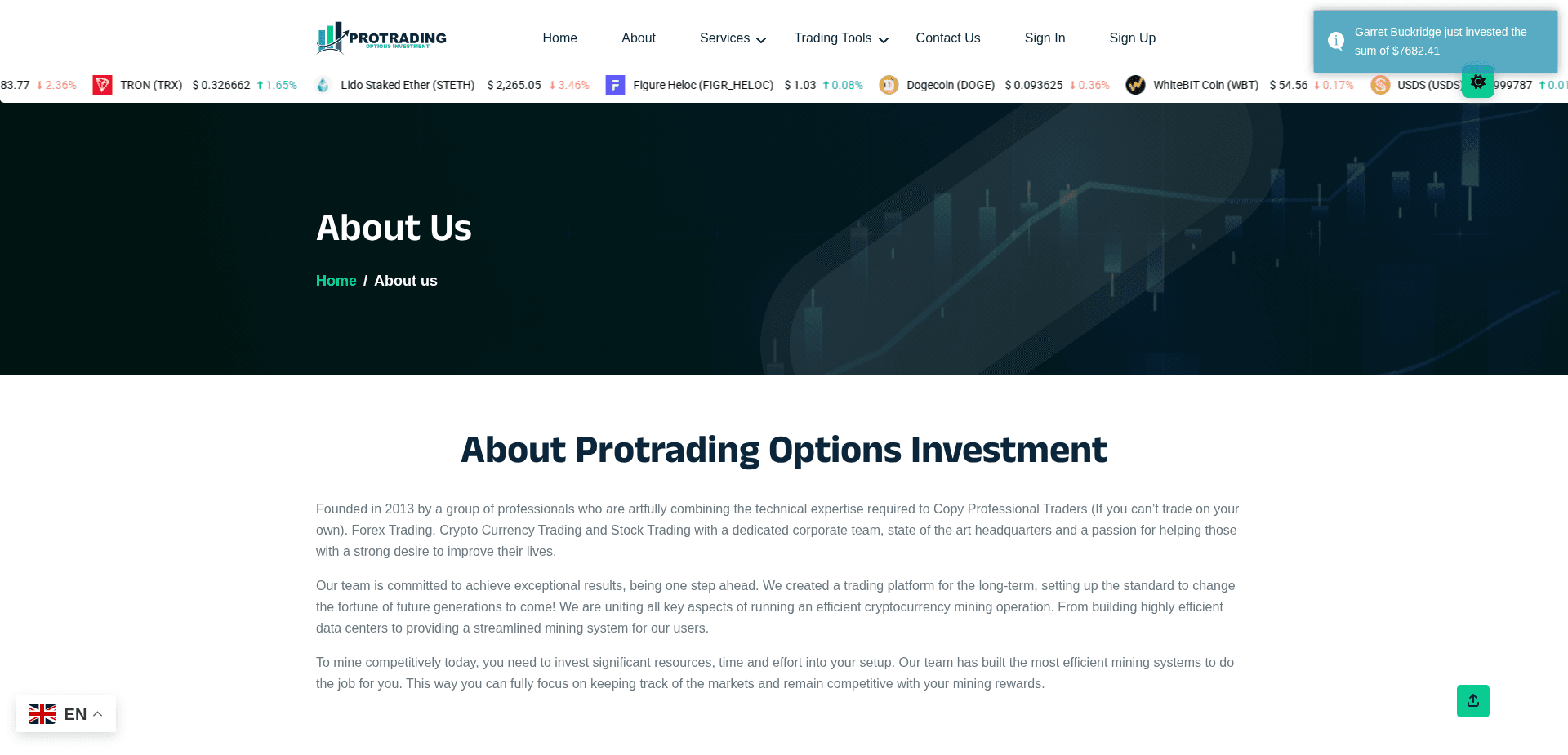 Website screenshot for https://protrading-options.com/ - 3