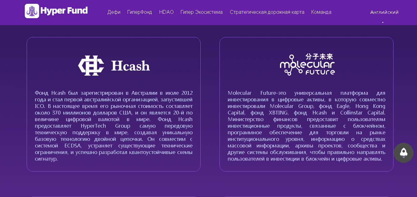 Фальшивый проект с пустыми обещаниями. 