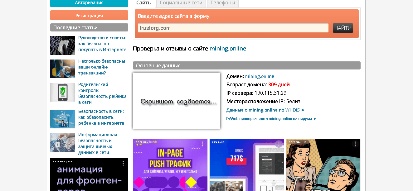 срок работы проекта