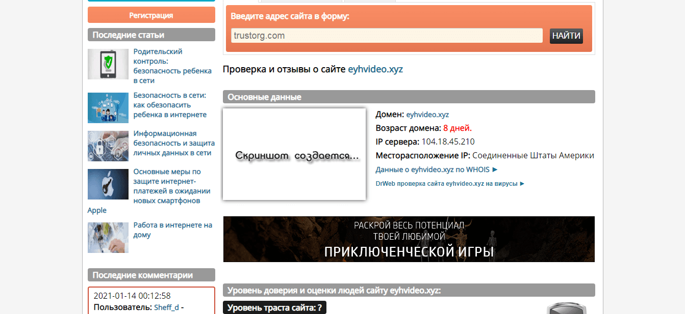 срок работы проекта