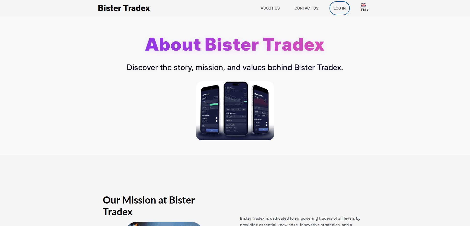 Website screenshot for https://bister-tradex.net/ - 3