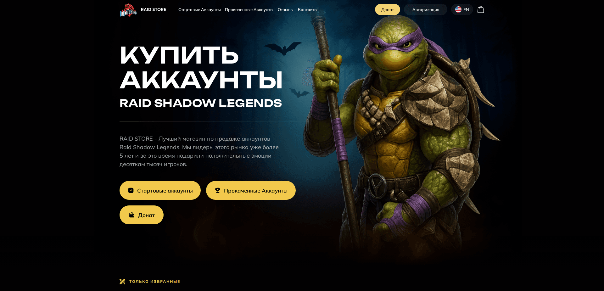 Website screenshot for https://raid-store.ru/ - 1