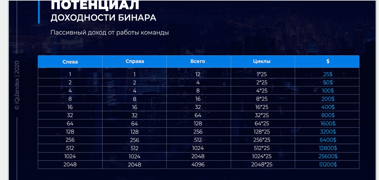 бинарный доход