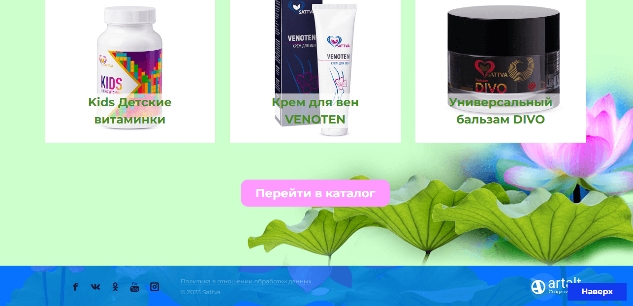 данные о продукции и самом проекте