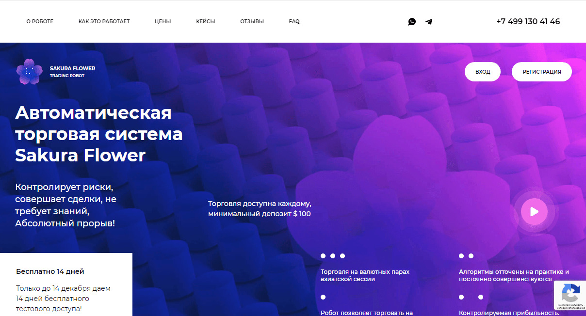 Sakura Flower - автоматическая торговая система для потери средств