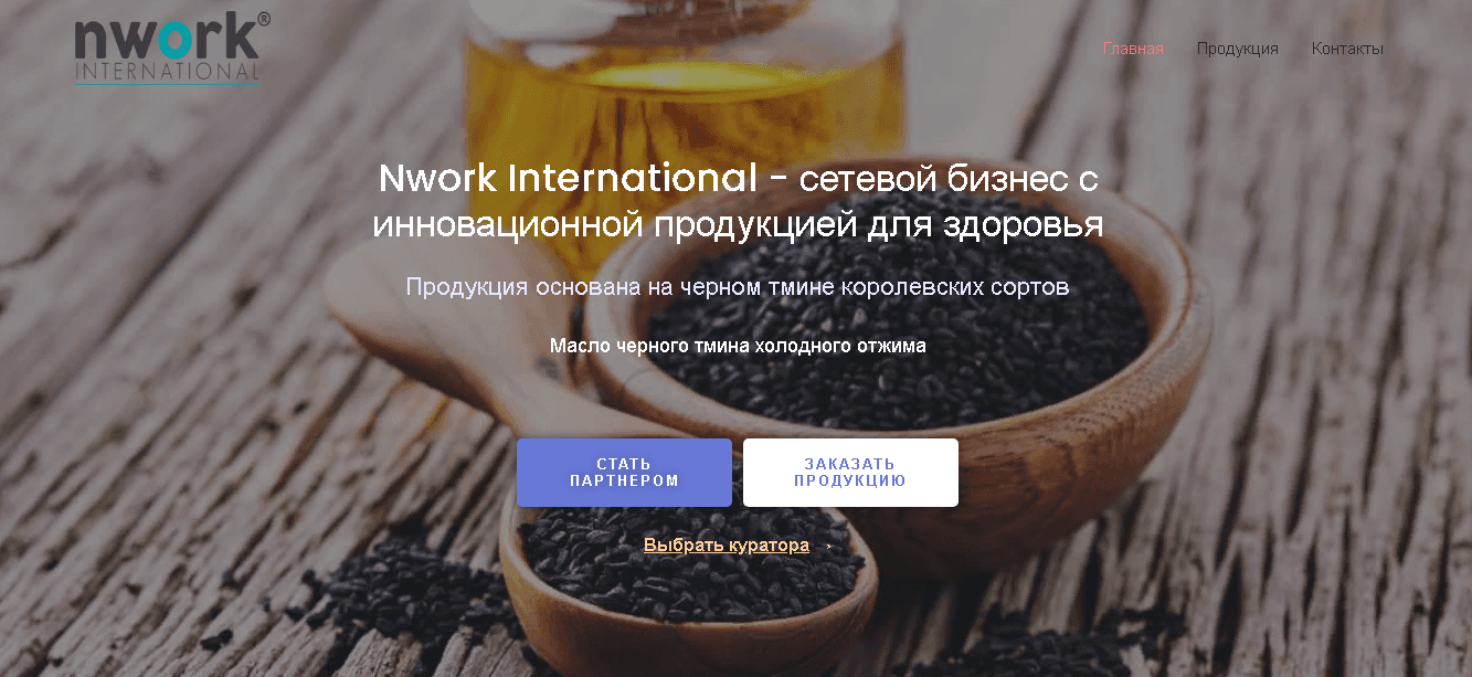 Nwork International - сомнительный проект для потери времени и денег