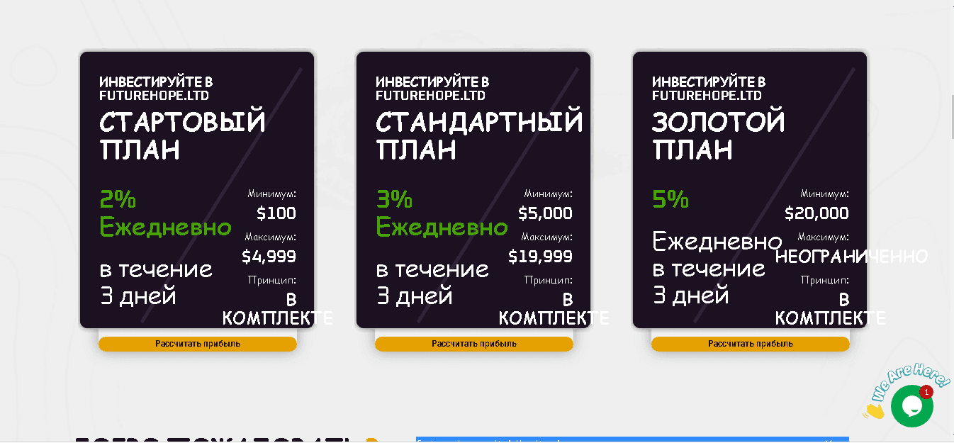 Предложение проекта мошенников инвестировать в лохотрон