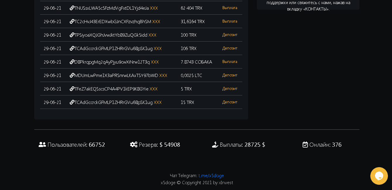 статистика проекта X5Doge.com на сайте