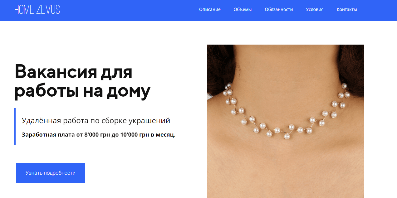 Home Zevus - потеря средств в надежде на заработок