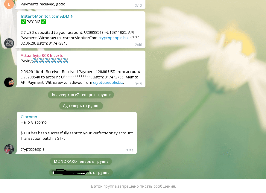 CryptoPeople - Финансовая пирамида