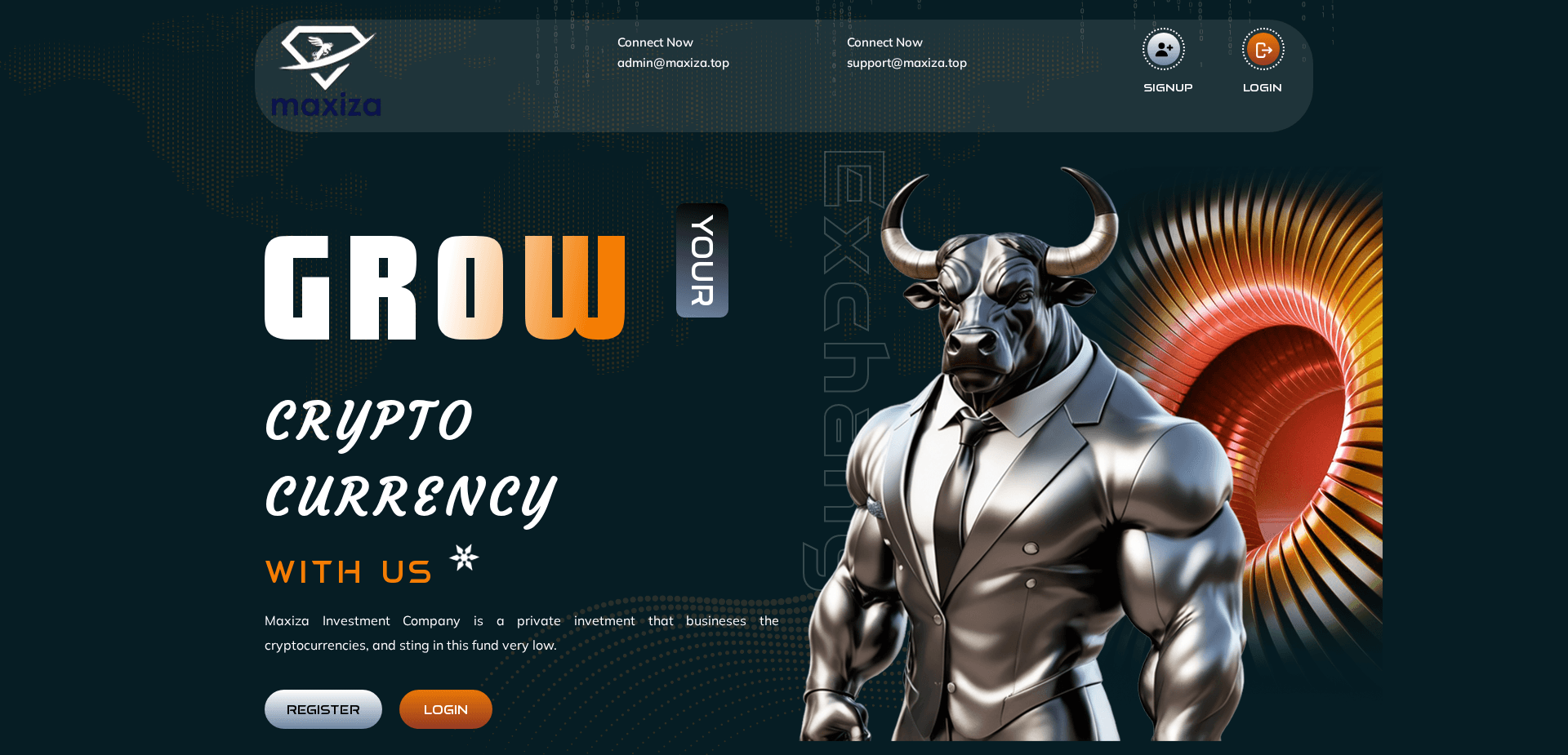 Website screenshot for https://maxiza.top/ - 1