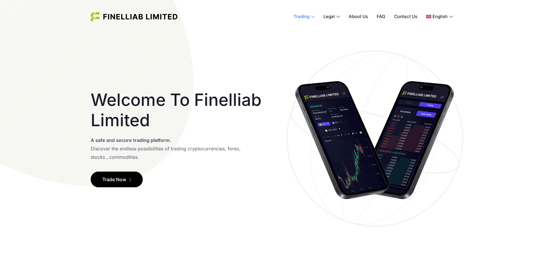 Website screenshot for https://finelliablimited.com/ - 1