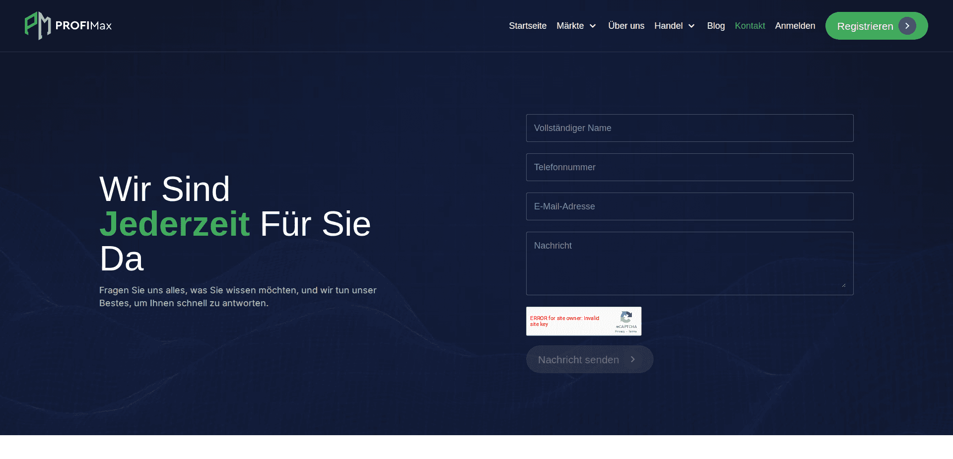 Website screenshot for https://profimax.pro/ - 2