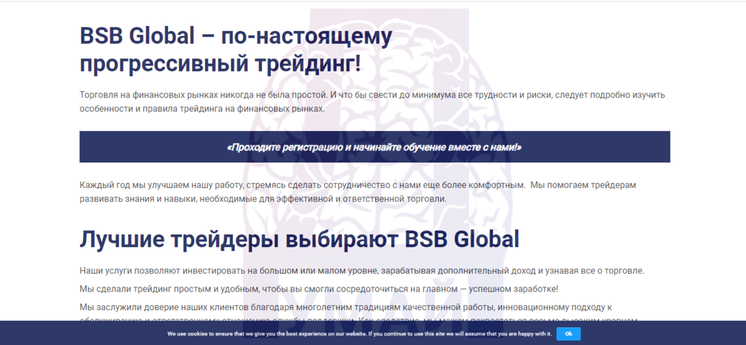 Предложение проекта BSB Global