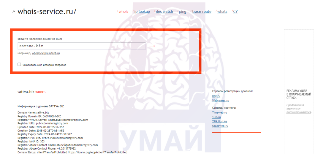 данные о регистрации домена МЛМ проекта 